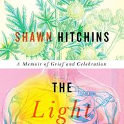 Book Therapy: The Light Streamed Beneath It