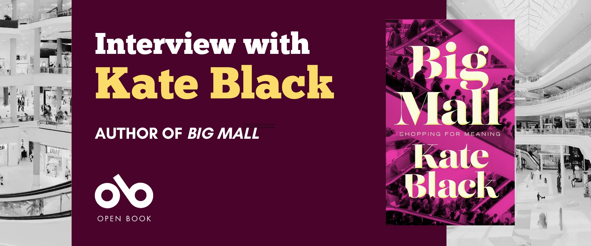 Big Mall by Kate Black, text on burgundy background next to book cover, with shipping mall images in background