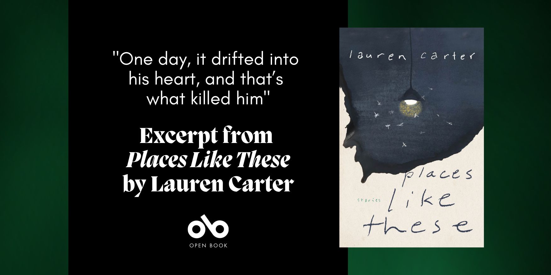 Banner image with the cover from Lauren Carter's Places Like These and the quote "One day it drifted into his heart and that's what killed him. Excerpt from Lauren Carter's Places Like These"