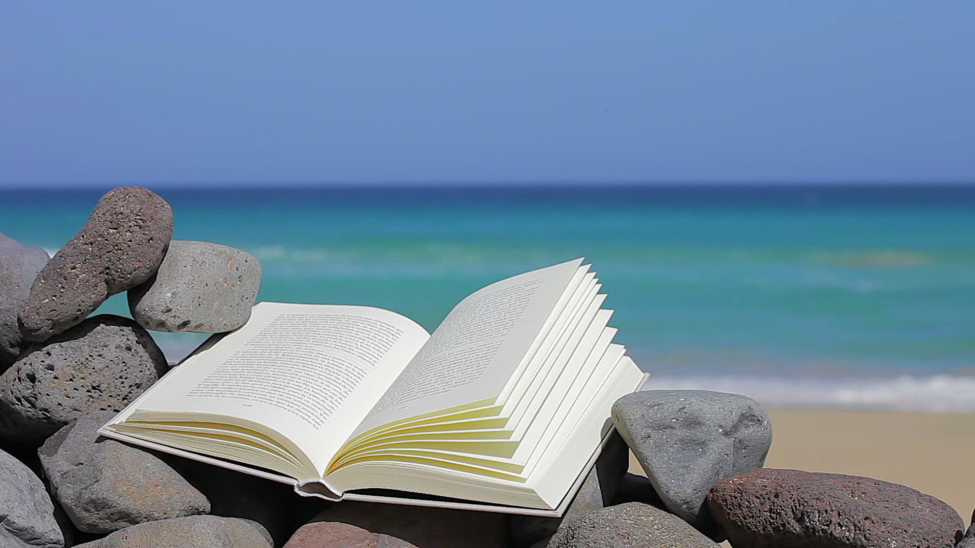 Here s To Summer A Reading List Open Book
