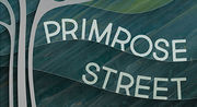 December Spotlight on Excerpts: Read a Section of Marina L. Reed's Primrose Street