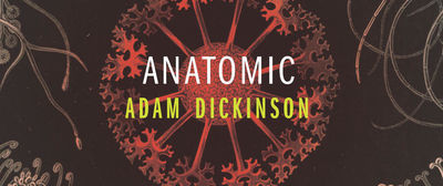 "The Human Endocrine System Represents a Kind of Poetics" Adam Dickinson on his Poetic, Chemical Autobiography