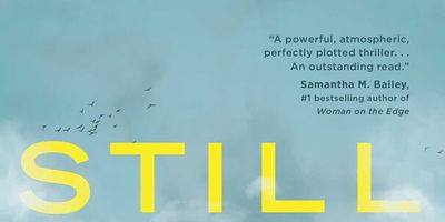 Book Therapy: Still Here, and the Soothing Lure of Thrillers