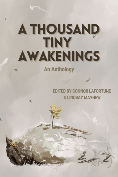 A Thousand Tiny Awakenings, An Anthology