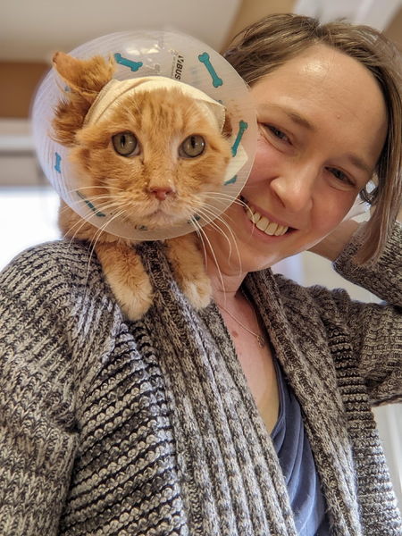Author Anna Humphrey, writer of At the Rescue Cat Café, smiles while posing indoors with an orange cat perched on her shoulder. The cat wears a plastic protective cone decorated with blue bone shapes and has a bandage around its head, indicating recent medical care. Anna is dressed in a grey knitted cardigan and appears happy and affectionate, gently holding the cat close.