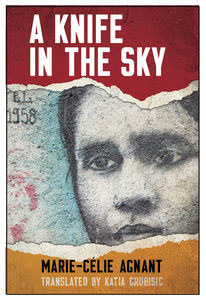 book cover_a Knife in the Sky
