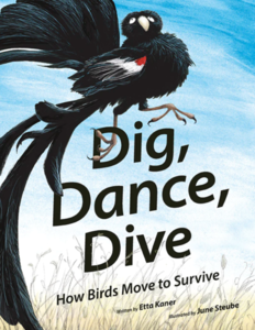 book cover_dig dance dive