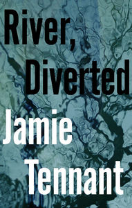 book cover_river diverted