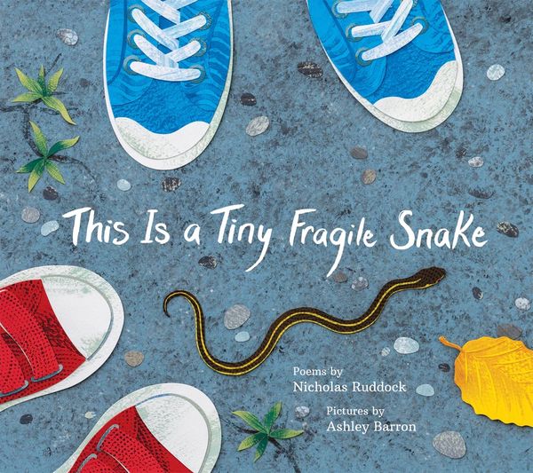 This is a Tiny Fragile Snake by Nicholas Ruddock illustrated by Ashley Barron