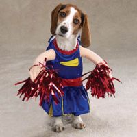 Funny-Dog-Cheerleader-Picture