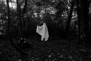 A classic bed sheet ghost in the woods.