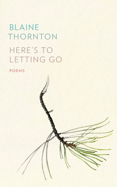Cream-colored book cover with a minimalist design. At the upper left, the author name “Blaine Thornton” appears in pale blue, followed by the title “Here’s to Letting Go” in soft gray and blush pink, with “Poems” below in small rose text. The lower half features a delicate twig or pine branch with thin green needles and a curved dark stem against the plain off-white background.