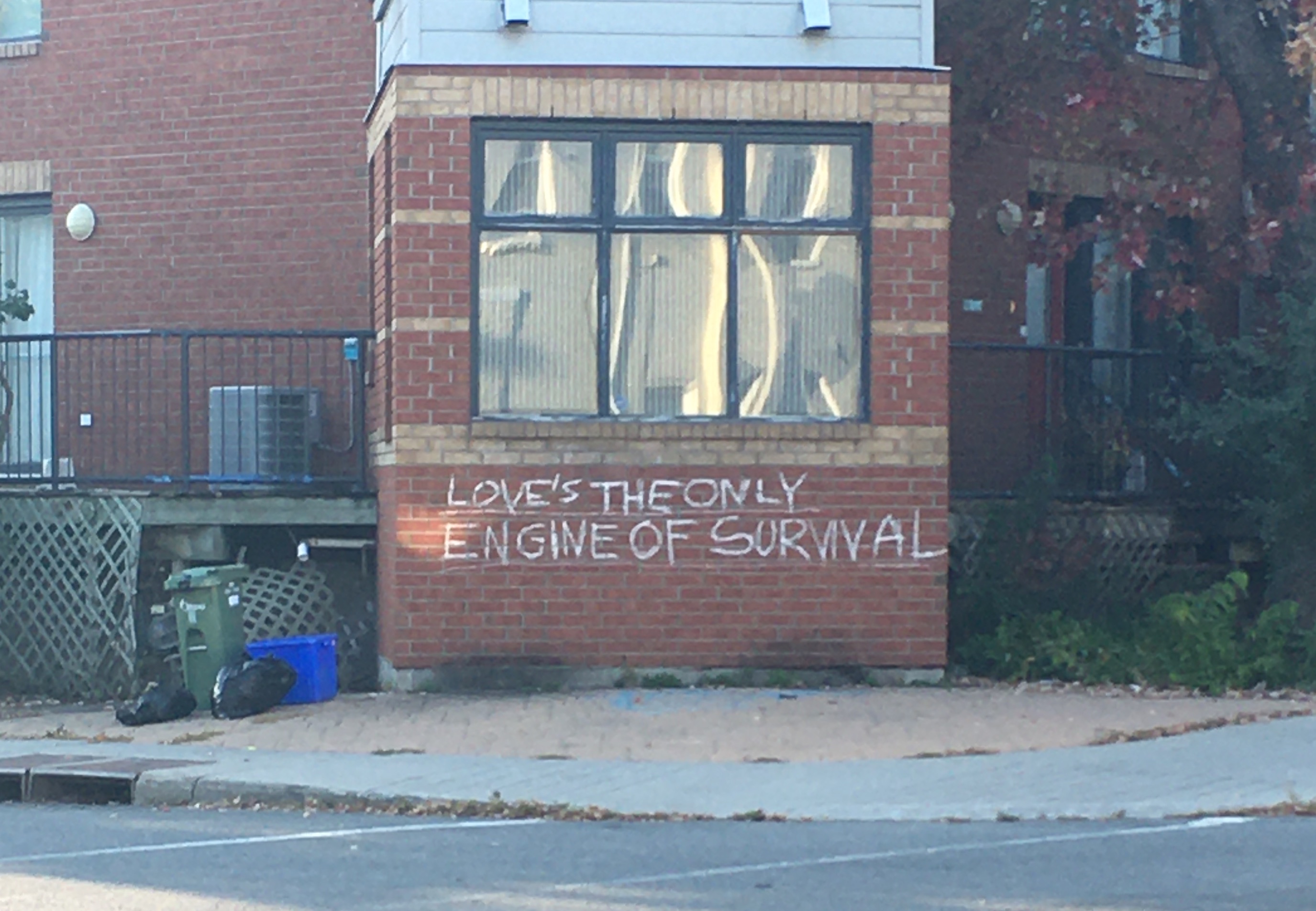 Chalk graffiti reading "Love is the only engine of survival"