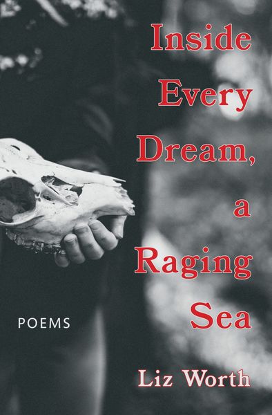 Inside Every Dream, a Raging Sea by Liz Worth