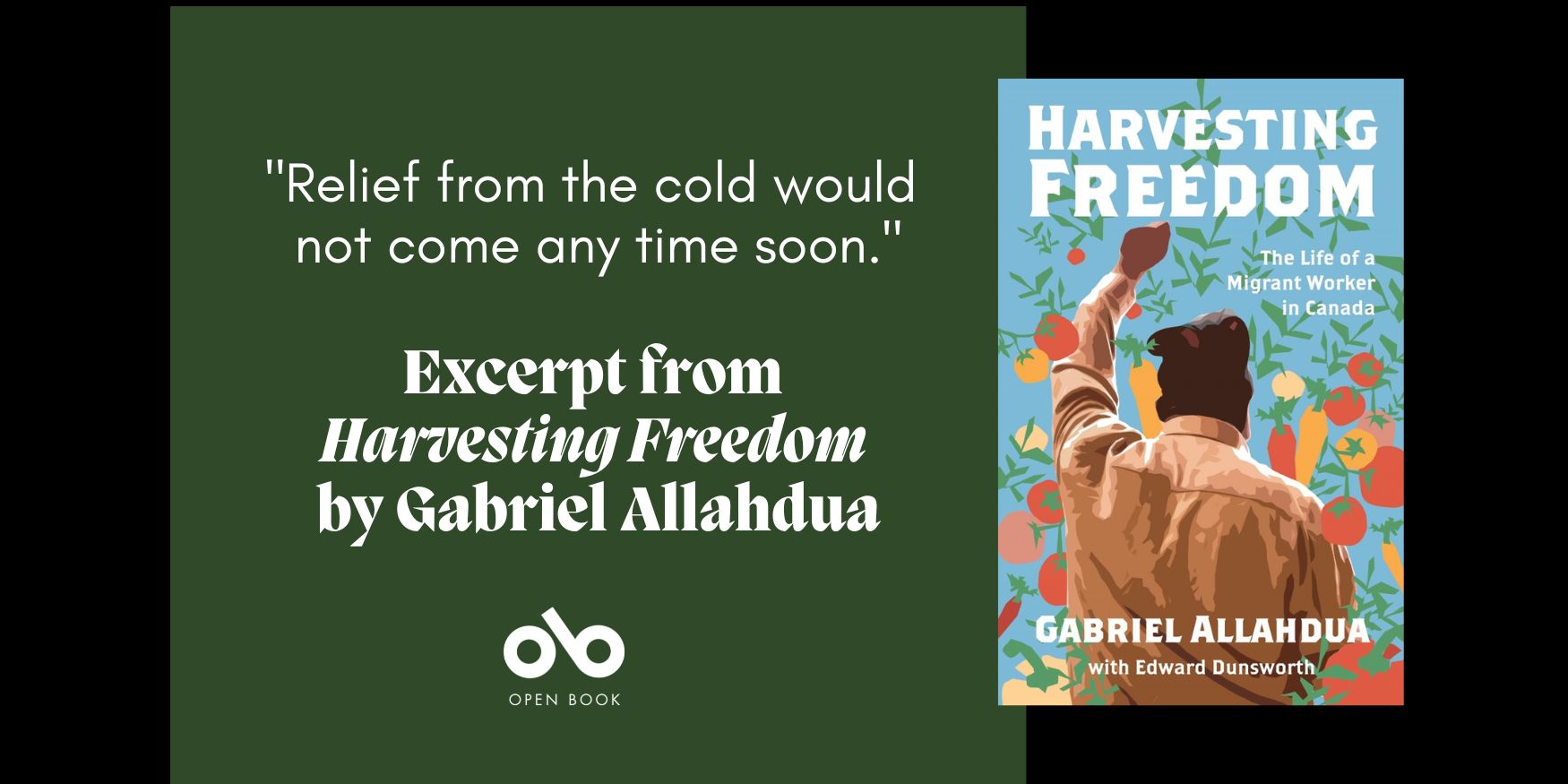 image of the cover of Harvesting Freedom, with a quote reading "Relief from the cold would not come anytime soon. Excerpt from Havesting Freedom by Gabriel Allahdua"