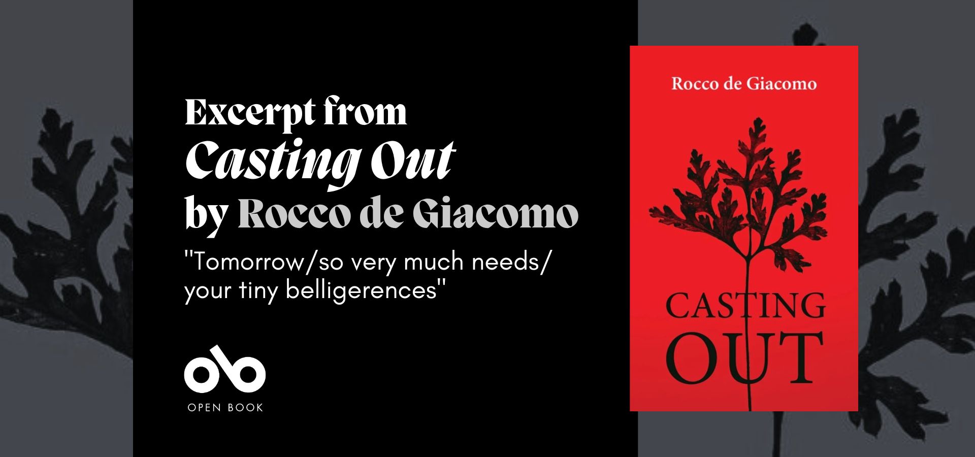 black banner image with an image of the cover of Rocco de Giacomo's poetry collection Casting Out and text reading "Excerpt from Casting Out by Rocco de Giacomo. Tomorrow/so very much needs/ your tiny belligerences"