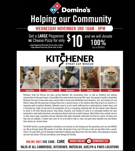 Promotional poster for a Domino’s Pizza fundraiser supporting Kitchener Stray Cat Rescue. The event runs on Wednesday, November 3rd, from 10 AM to 9 PM. It offers a large pepperoni or cheese pizza for $10, with 100% of proceeds (up to $5,000) donated to the rescue. The poster features photos of five cats—Squishie, Stanley, Sylvester, Kenya, and Dory—each with their name in red below their photo. Below the images, a paragraph explains the mission of Kitchener Stray Cat Rescue, the medical needs of the featured cats, and the importance of donations. The bottom of the poster highlights that the offer is online only with code “CARE” and is valid at Cambridge, Kitchener, Waterloo, Guelph, and Paris locations. The order link is DOMINOS.CA.