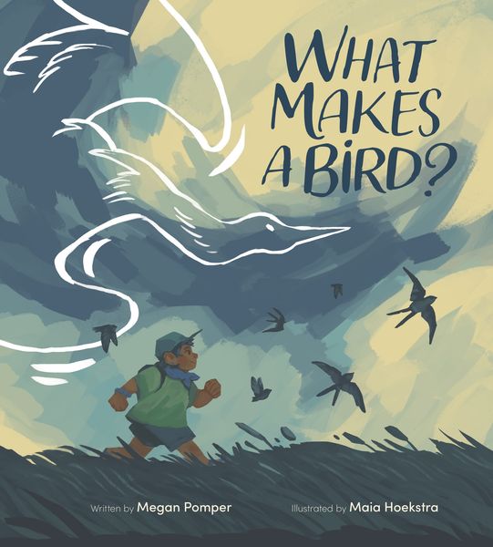 What Makes a Bird? by Megan Pomper (Illustrator Maia Hoekstra)