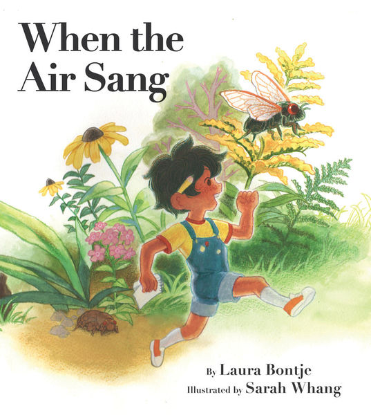 When the Air Sang by Laura Bontje, illustrated by Sarah Whang