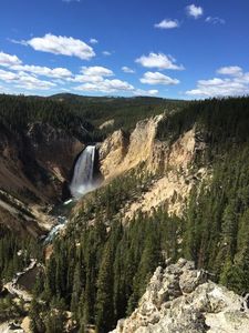 Yellowstone_Falls_Canyon