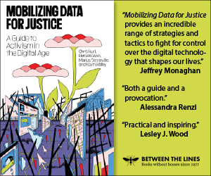 Cover of "Mobilizing Data for Justice" features abstract art of data flows. Text includes quotes praising its guidance on digital activism.