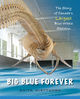 Big Blue Forever