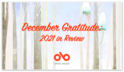 December Gratitude: Check Out 5 of Our Favourite Author Interviews & Excerpts from 2021