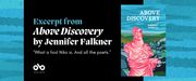 Read an Excerpt from Above Discovery, Jennifer Falkner's "Utterly Fresh and Enchanting" Debut Short Story Collection