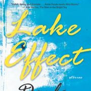 Read an Excerpt From Dayle Furlong's Powerful New Collection, Lake Effect