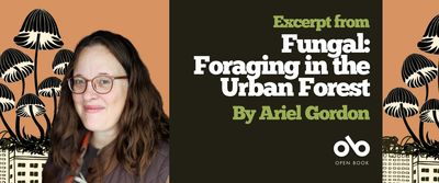 An Excerpt from Fungal: Foraging in the Urban Forest by Ariel Gordon banner. Background image of illlustrated city scape with vines growing on buildings and mushrooms sprouting above, set against pink. Solid dark area to the right of image with text overlaid and Open Book logo. Author photo to centre-left, woman with long brown hair flowing down and over her shoulder, wearing glasses and an ourdoorsy jacket, standing slightly askance and smiling outwardly.