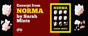 Excerpt from NORMA by Sarah Mintz banner. Image of cartoonish old woman's head in grid pattern over black background. Dark red section to centre right of image with text overlaid and the Open Book logo. To centre right an image of the book cover.