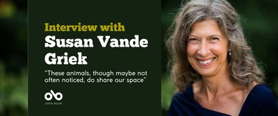 Green banner image with photo of author Susan Vande Griek and text reading "interview with Susan Vande Griek. These animals, though maybe not often noticed, do share our space" Open Book logo bottom left