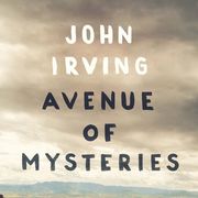 Eighty Feet Without a Net - Conversations with John Irving
