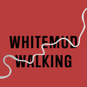 Visual Poetry in Whitemud Walking